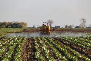 Arrosage de pesticides, un perturbateur endocrinien